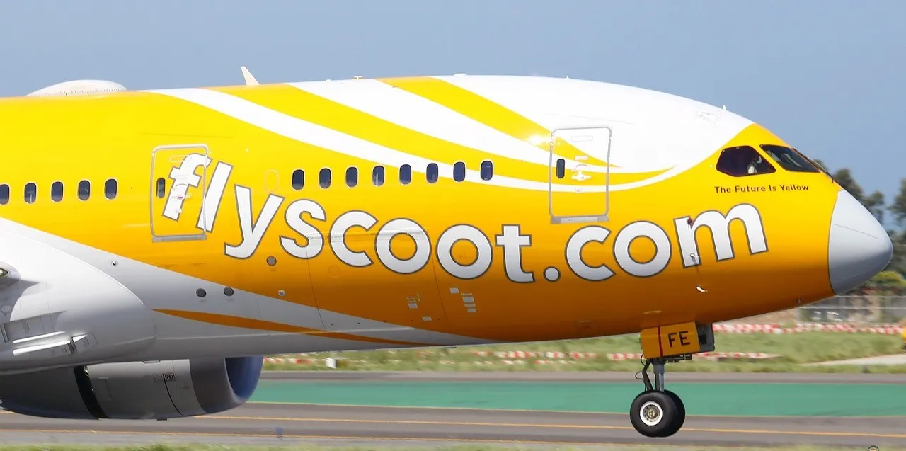 Scoot sees some green shoots but still navigating the crisis
