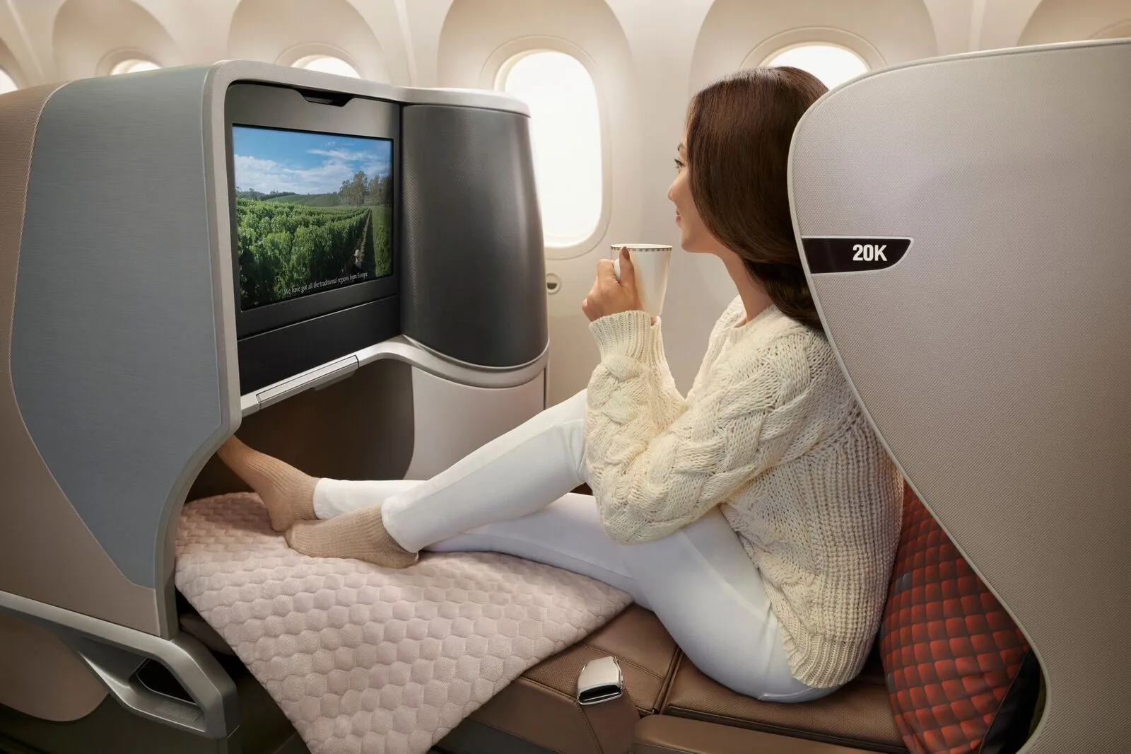 Singapore's new regional business class 'private and luxurious'
