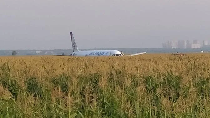 Russian hero pilots save 241 after bird strike